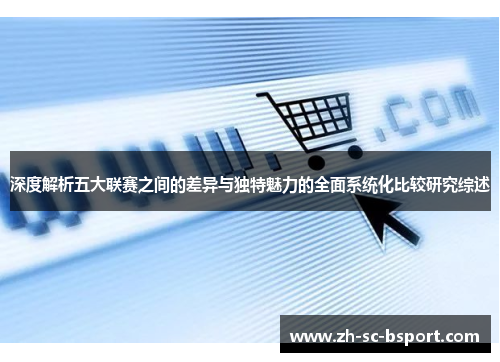 深度解析五大联赛之间的差异与独特魅力的全面系统化比较研究综述