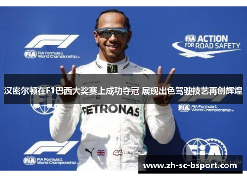 汉密尔顿在F1巴西大奖赛上成功夺冠 展现出色驾驶技艺再创辉煌
